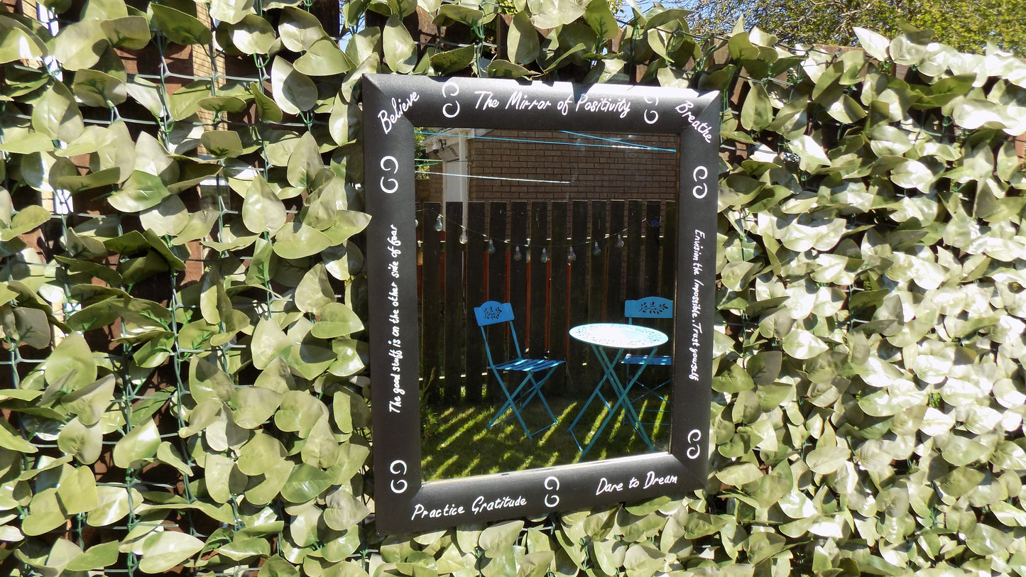 The Mirror of Positivity