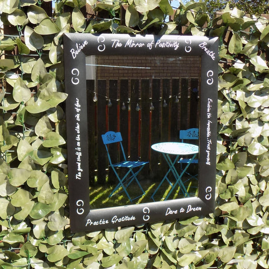 The Mirror of Positivity